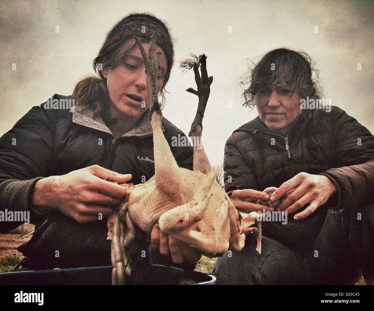 Natali Day and Claire Appel butchering a chicken Stock Photo