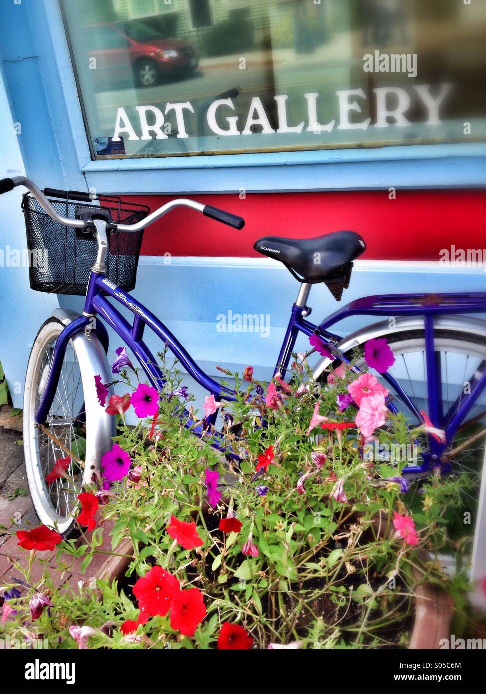 Bicycle - Smartphone Captured Stock Image