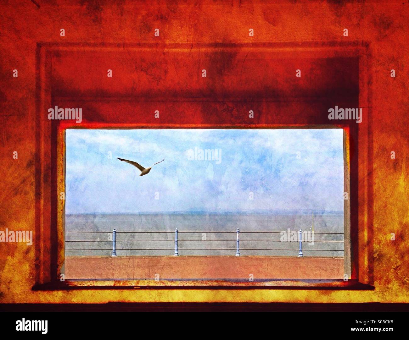 Seagull flying seen through framed view of Morecambe Bay - Smartphone Captured Stock Image