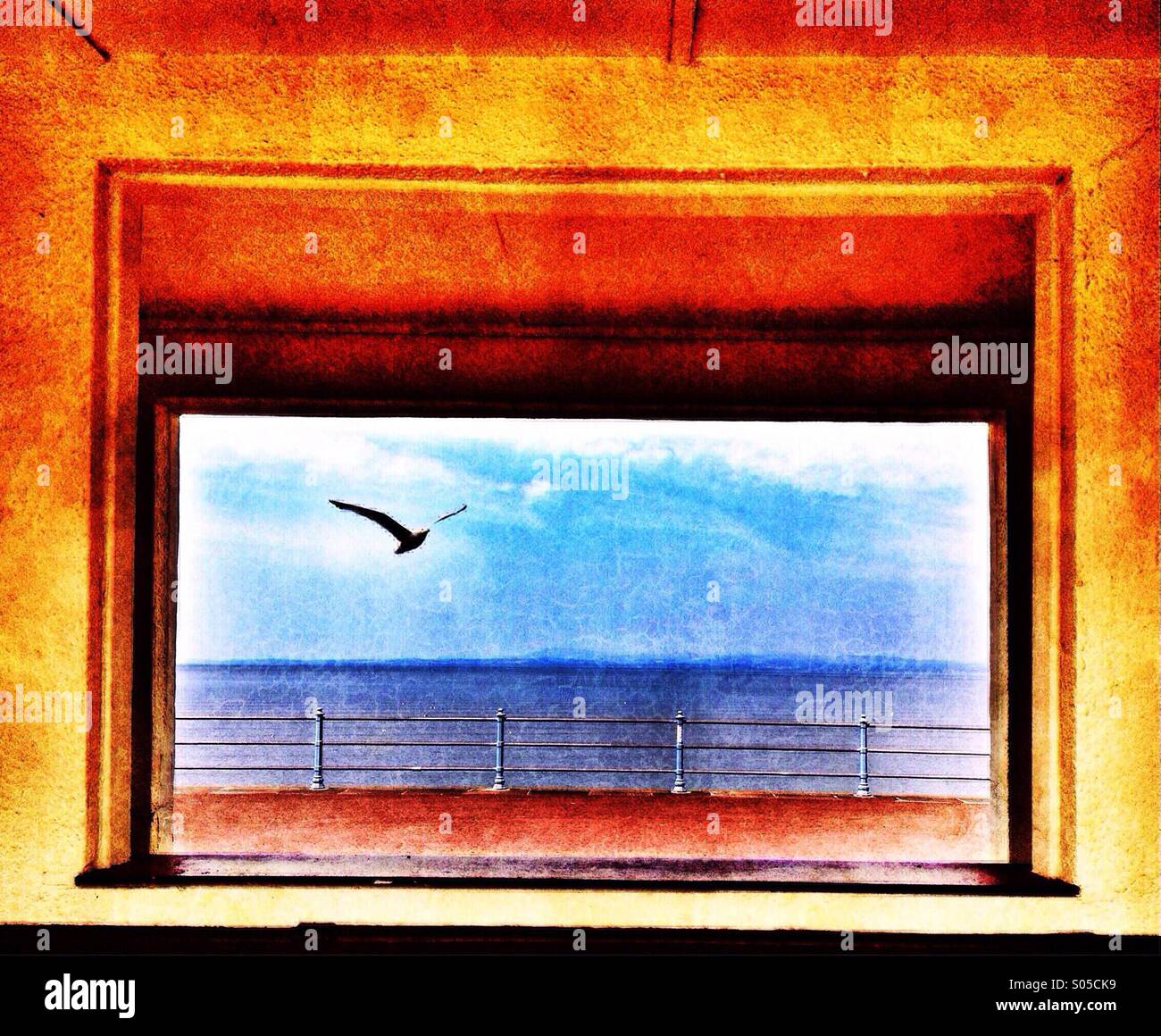 Seagull framed by window looking out over Morecambe Bay Stock Photo - Alamy