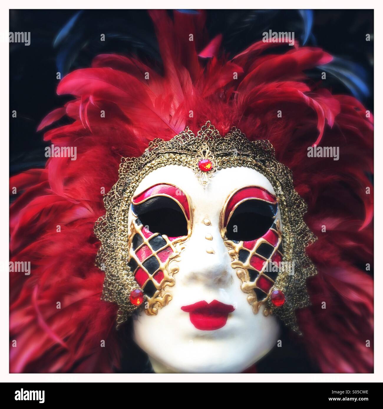 Carnival mask, Venice, Italy - Smartphone Captured Stock Image