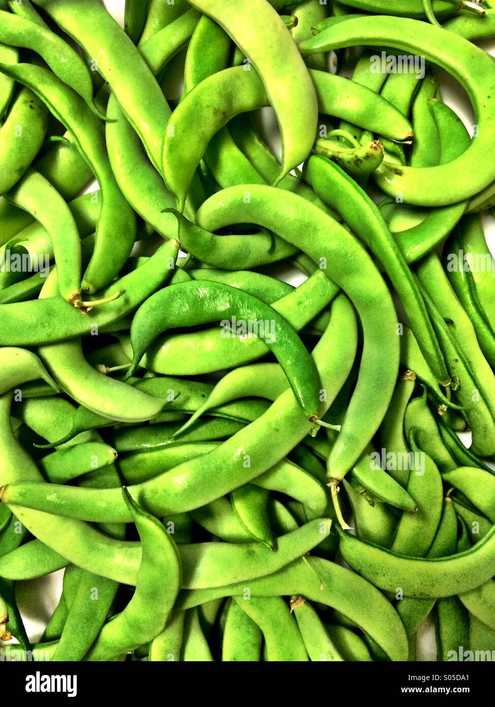 Organic green beans - Smartphone Captured Stock Image