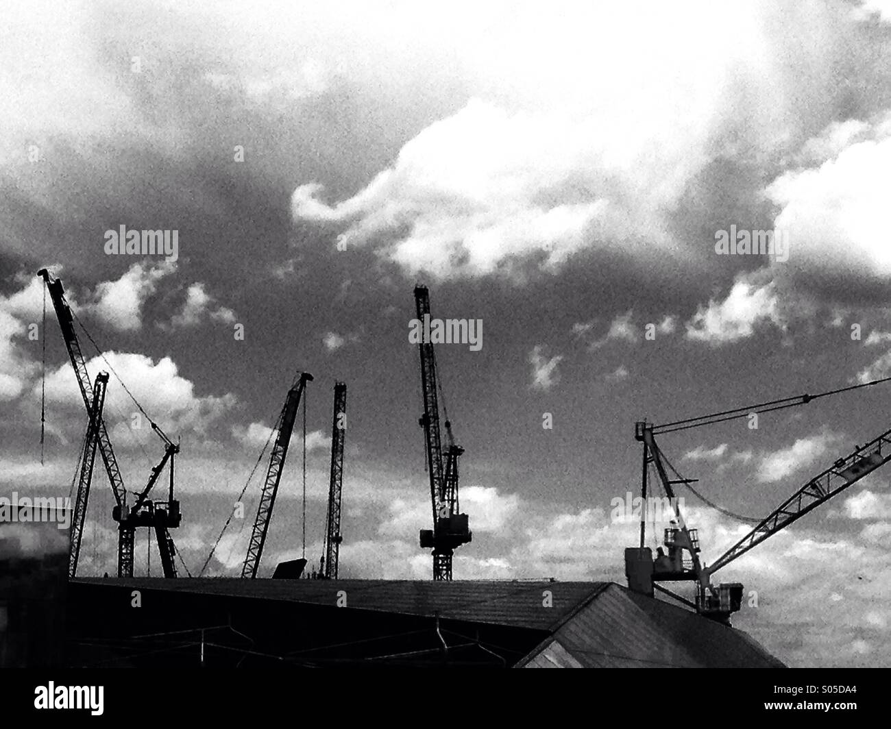 Cranes - Smartphone Captured Stock Image