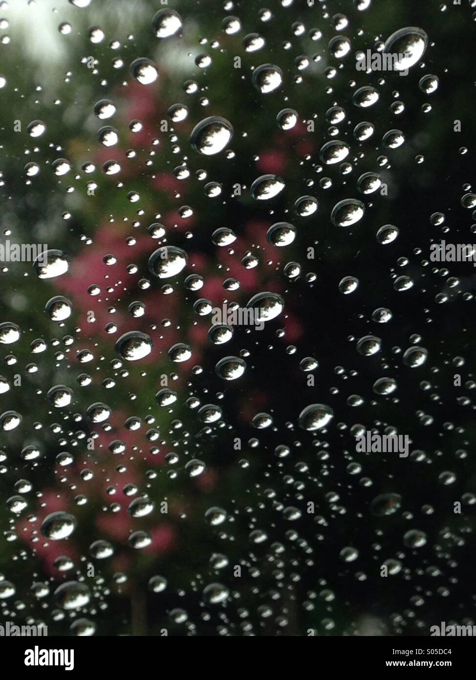 The rain on my windshield Stock Photo Alamy