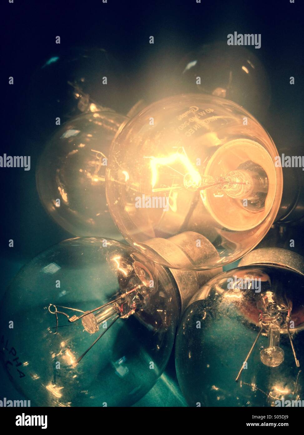 View of electric light bulbs - Smartphone Captured Stock Image