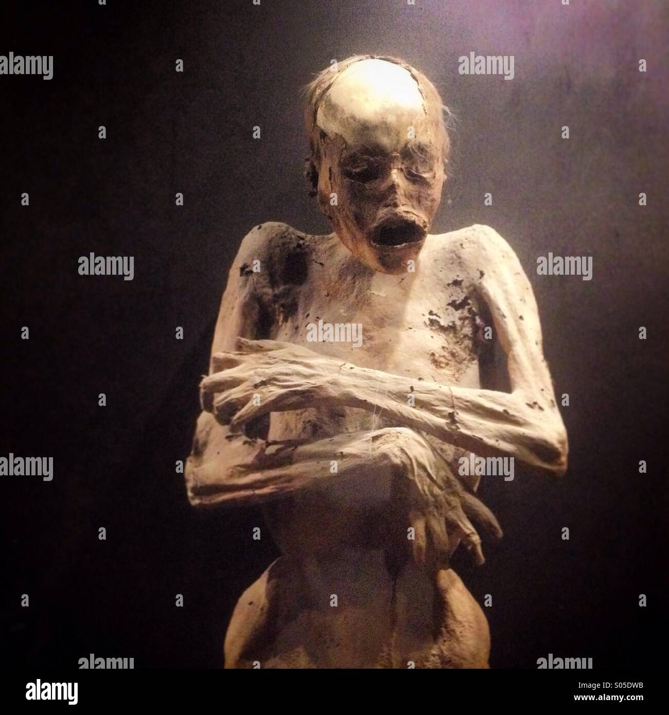 Mummy at the 'Museo de las Momias' in Guanajuato. Environmental conditions made it possible for more than 100 human remains to become mummified. - Smartphone Captured Stock Image