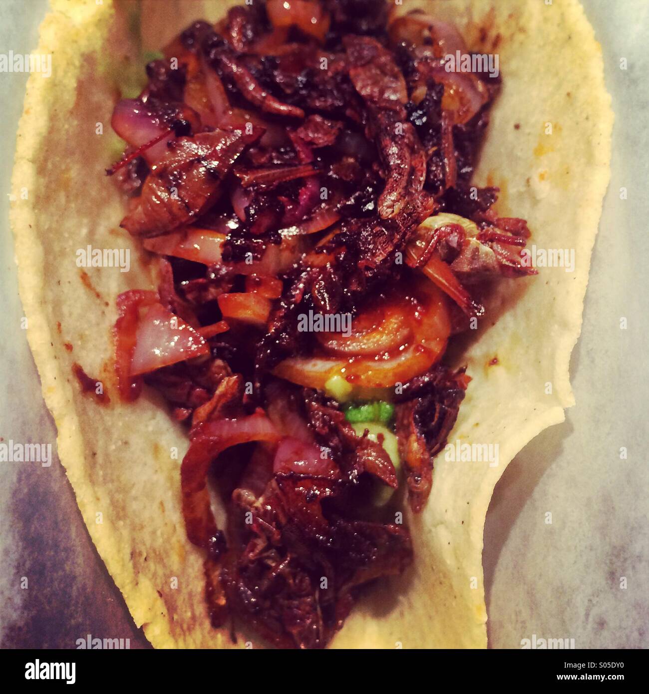 taco Stock Photo Alamy
