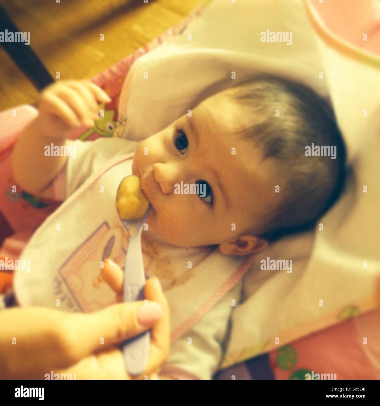 Mom Feeding Baby Stock Photo Alamy mom-feeding-baby-stock-photo-alamy