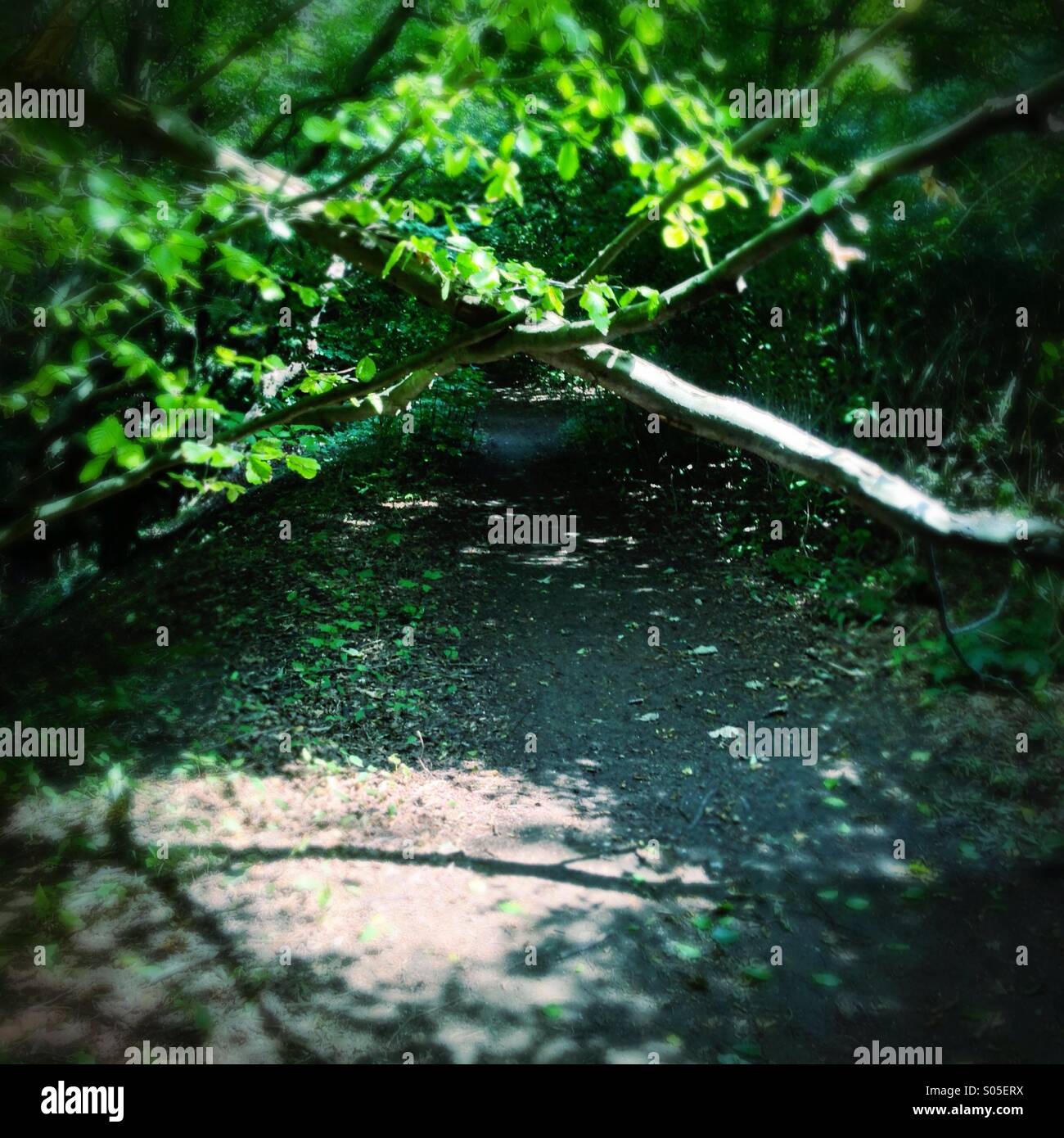 Obstacle in the way a cross blocks your path Stock Photo Alamy