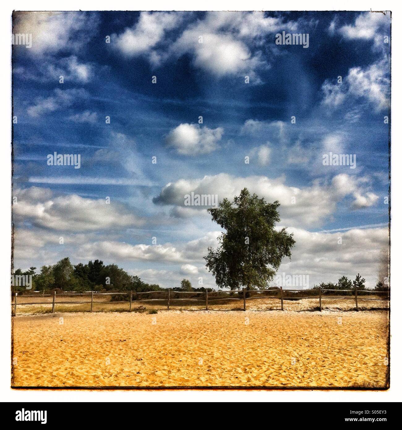 Frensham ponds Surrey England - Smartphone Captured Stock Image