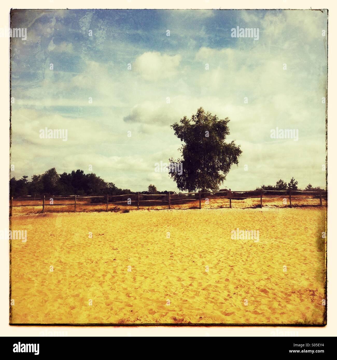 Frensham great pond Surrey England - Smartphone Captured Stock Image