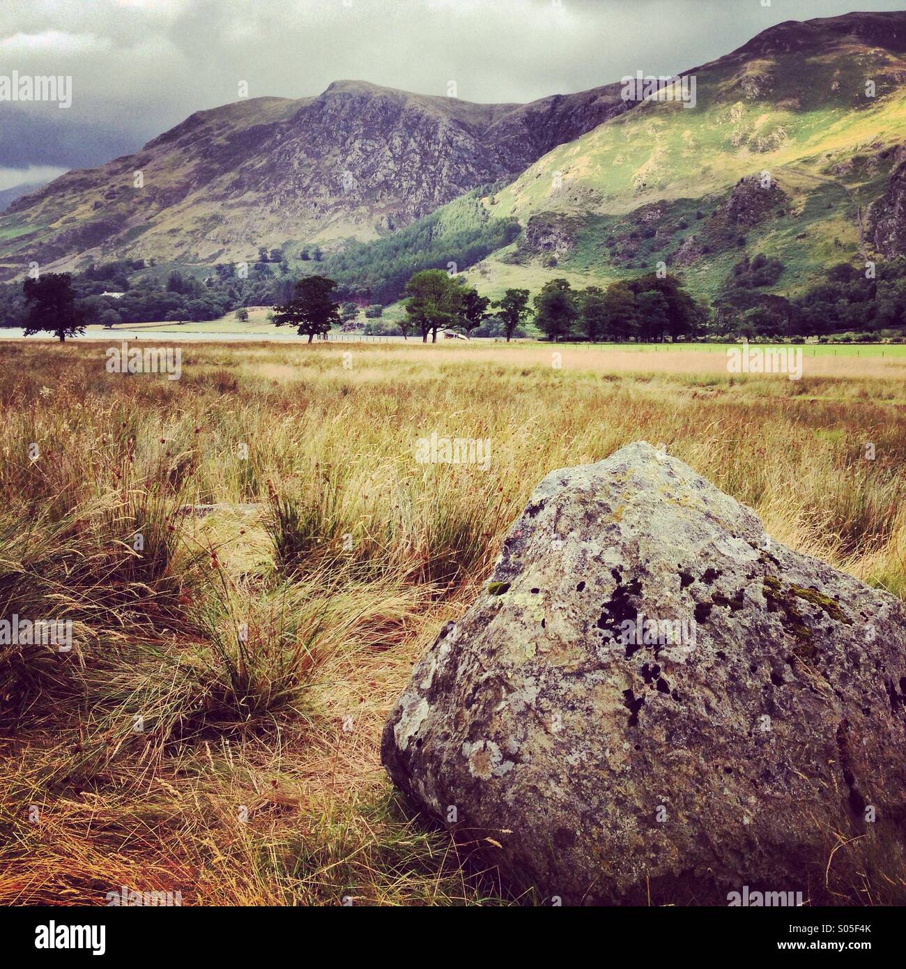 Rock by a field beside Buttermere. - Smartphone Captured Stock Image
