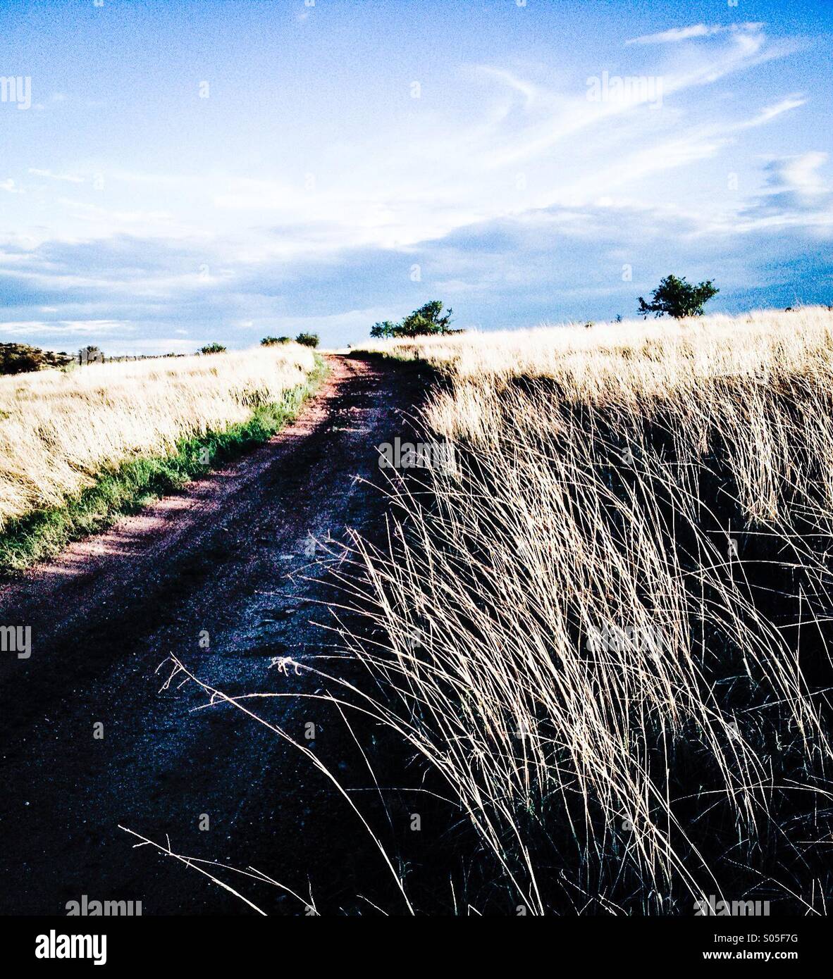 Grasslands in southern Arizona, USA. - Smartphone Captured Stock Image