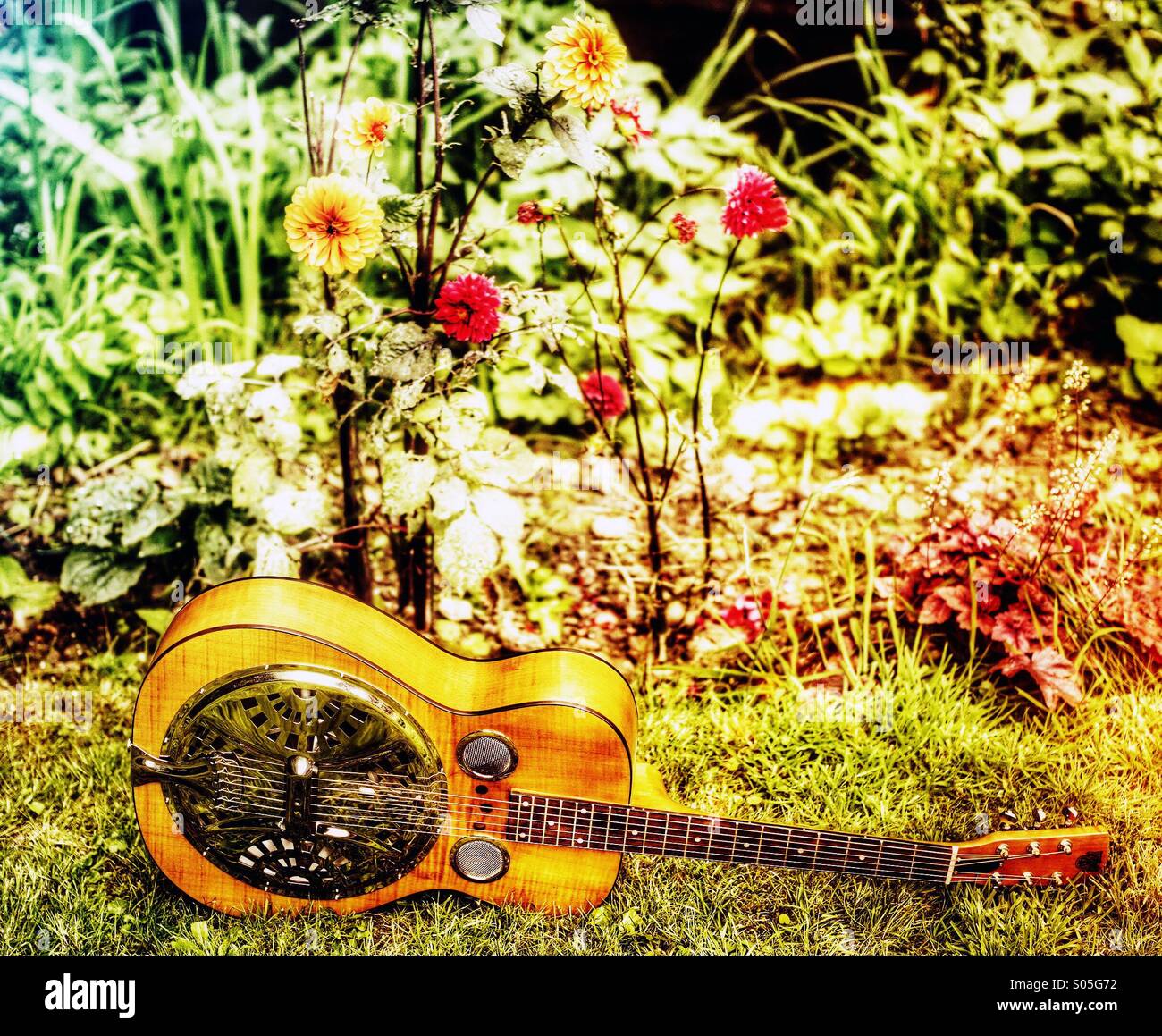 Dobro Stock Photo Alamy
