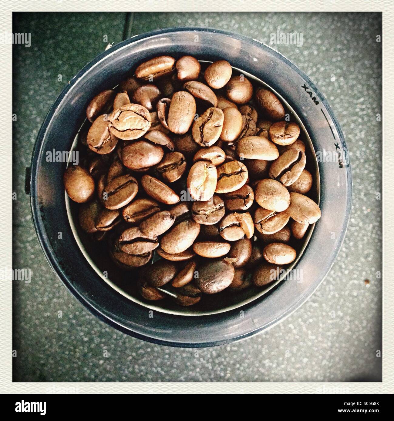 Coffee beans in a grinder - Smartphone Captured Stock Image