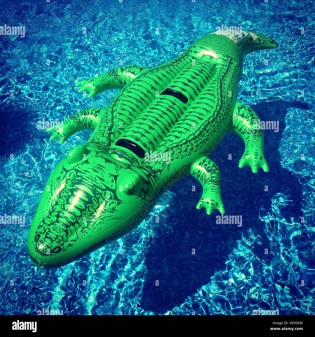 Inflatable alligator pool toy floating hi-res stock photography and images  - Alamy