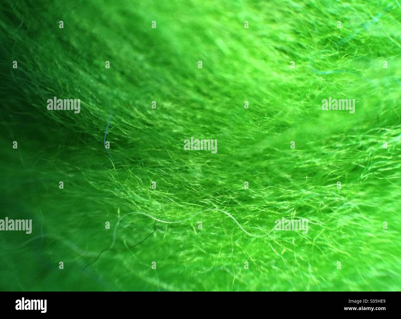Close up of green felting wool - Smartphone Captured Stock Image