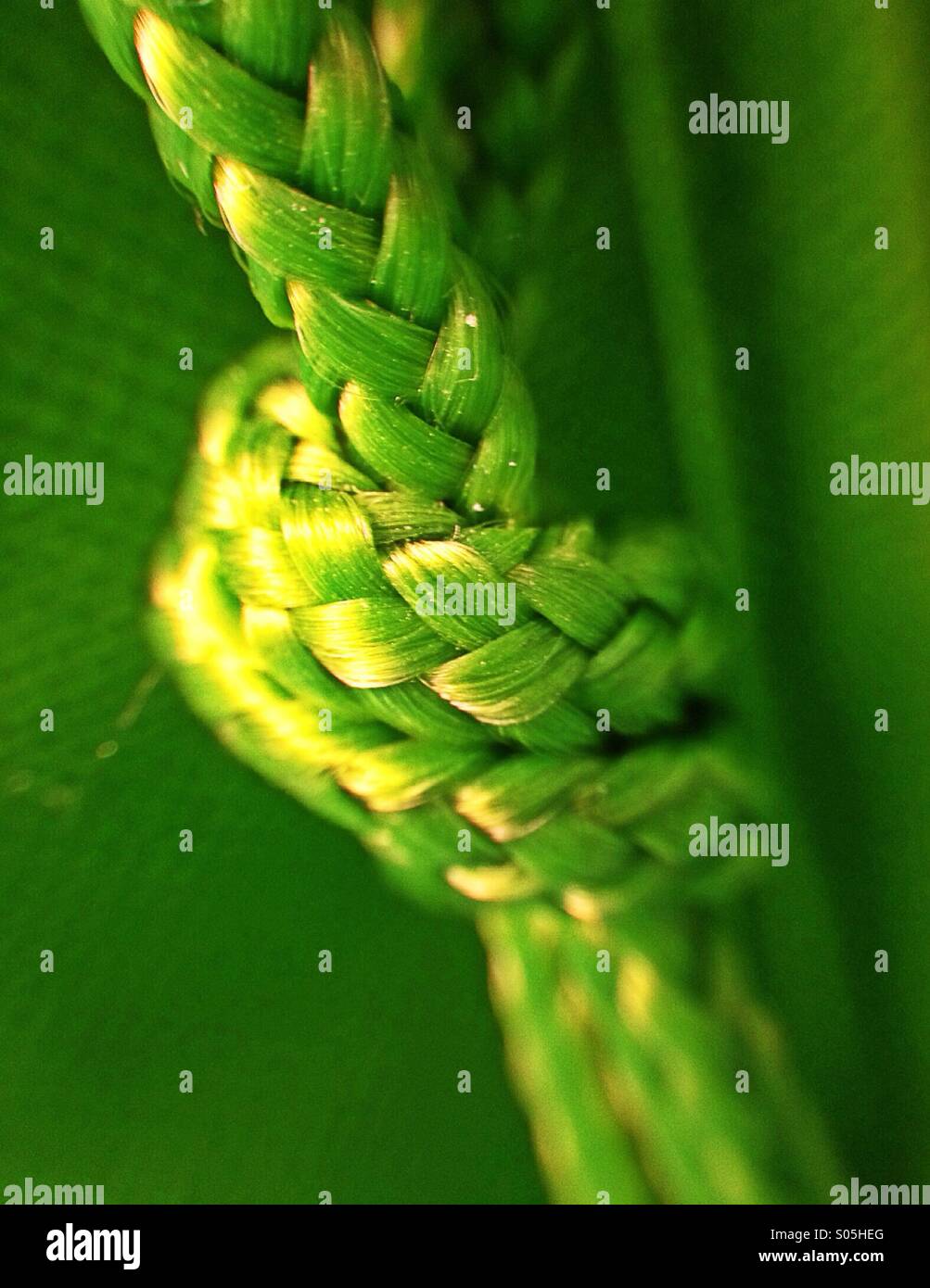 Knot in rope - Smartphone Captured Stock Image