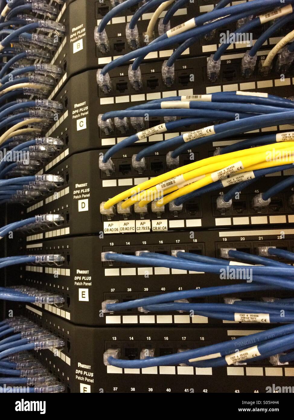 Ethernet cables are plugged into a server rack Stock Photo