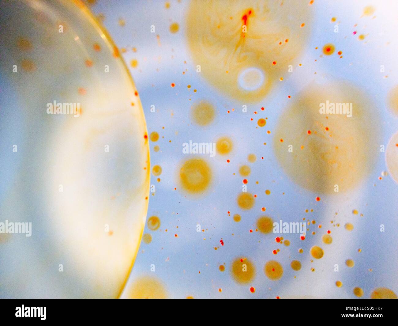 Macro view of Oil on water - Smartphone Captured Stock Image