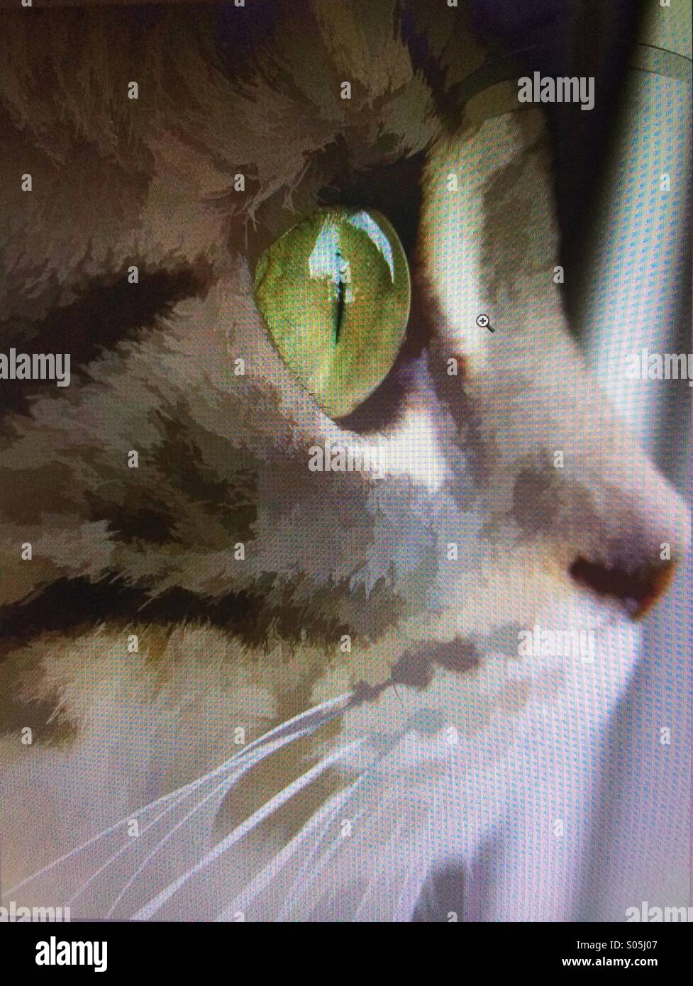 An artistic rendering of a photograph of a cat's face in close up profile - Smartphone Captured Stock Image
