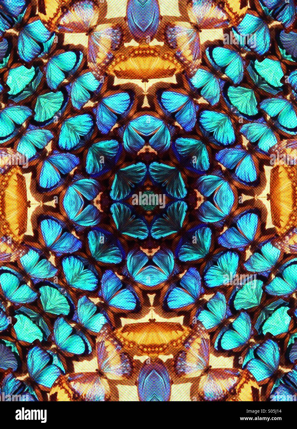 A kaleidoscope image made from an image of real butterflies
