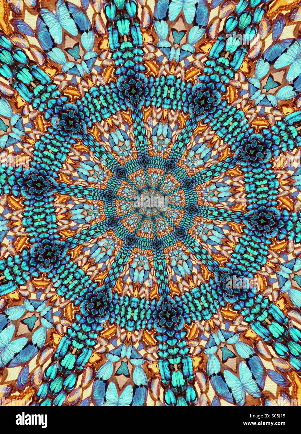A kaleidoscopic image made from a picture of real butterflies Stock Photo