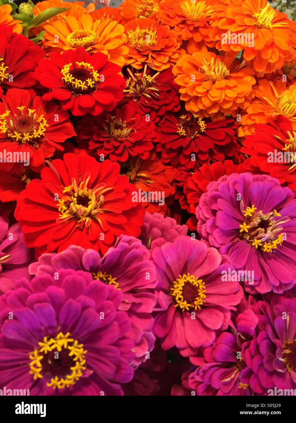 Rainbow with flowers hires stock photography and images Alamy