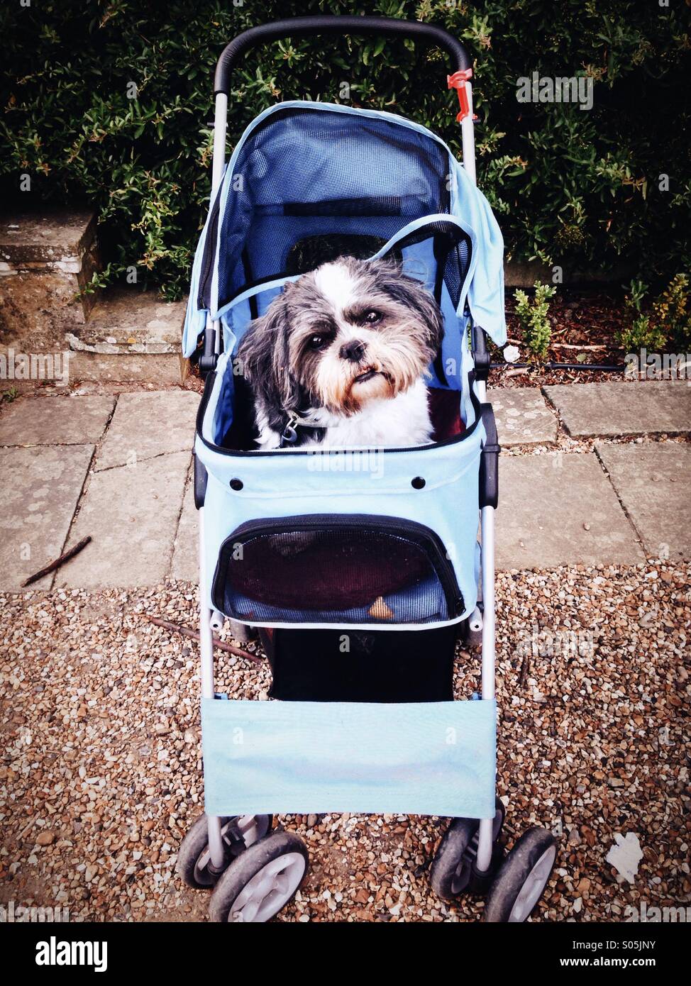 furmoms pet stroller