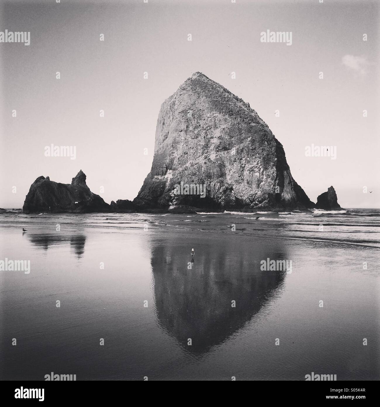 Dawn, Haystack Rock, Cannon Beach, Oregon coast - Smartphone Captured Stock Image