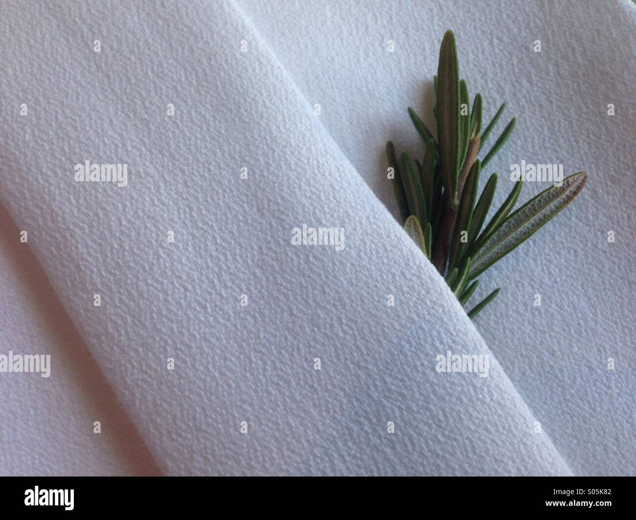 Table Cloth - Smartphone Captured Stock Image