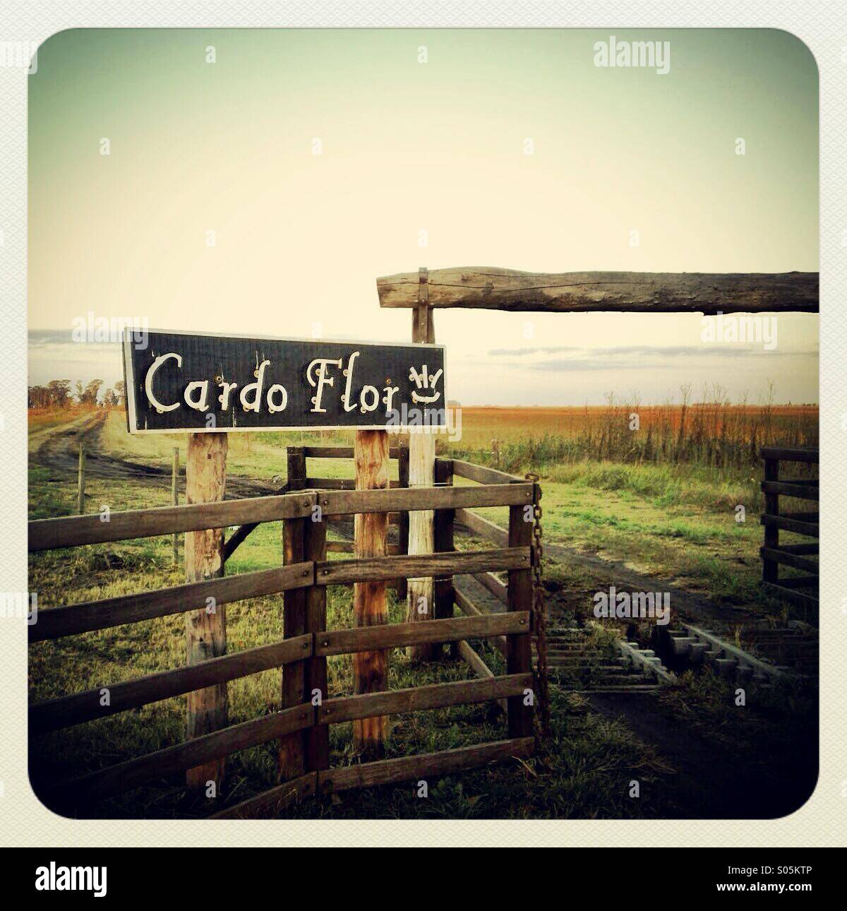 Entrance of the ranch Cardo Flor (Cardoon Flower) near Bolivar. Buenos Aires province, 200 KM south west from the Argentinian capital - Smartphone Captured Stock Image