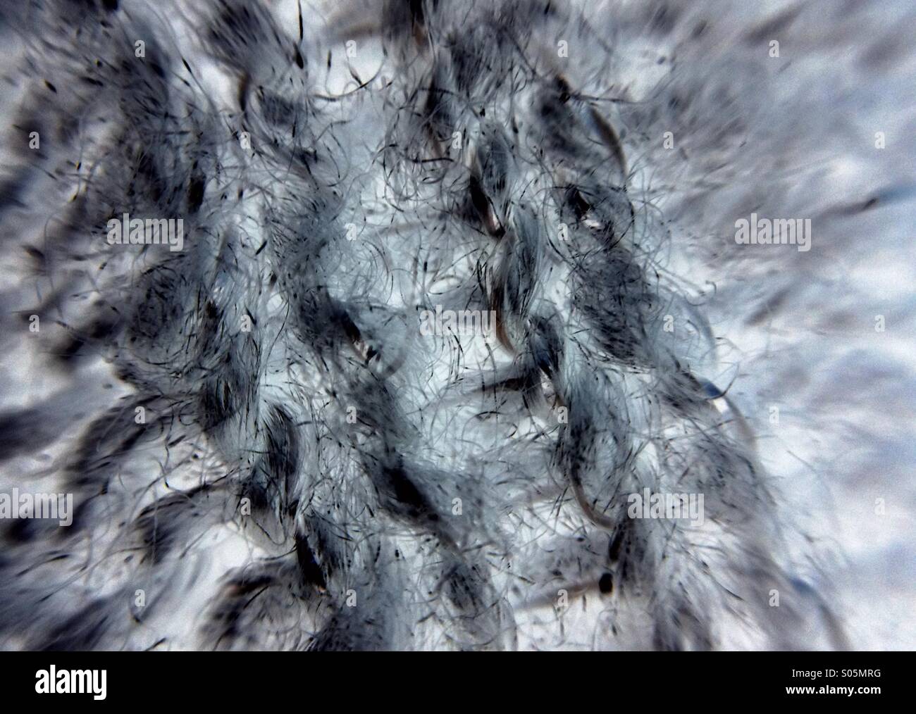 Close up of a woolly jumper - Smartphone Captured Stock Image