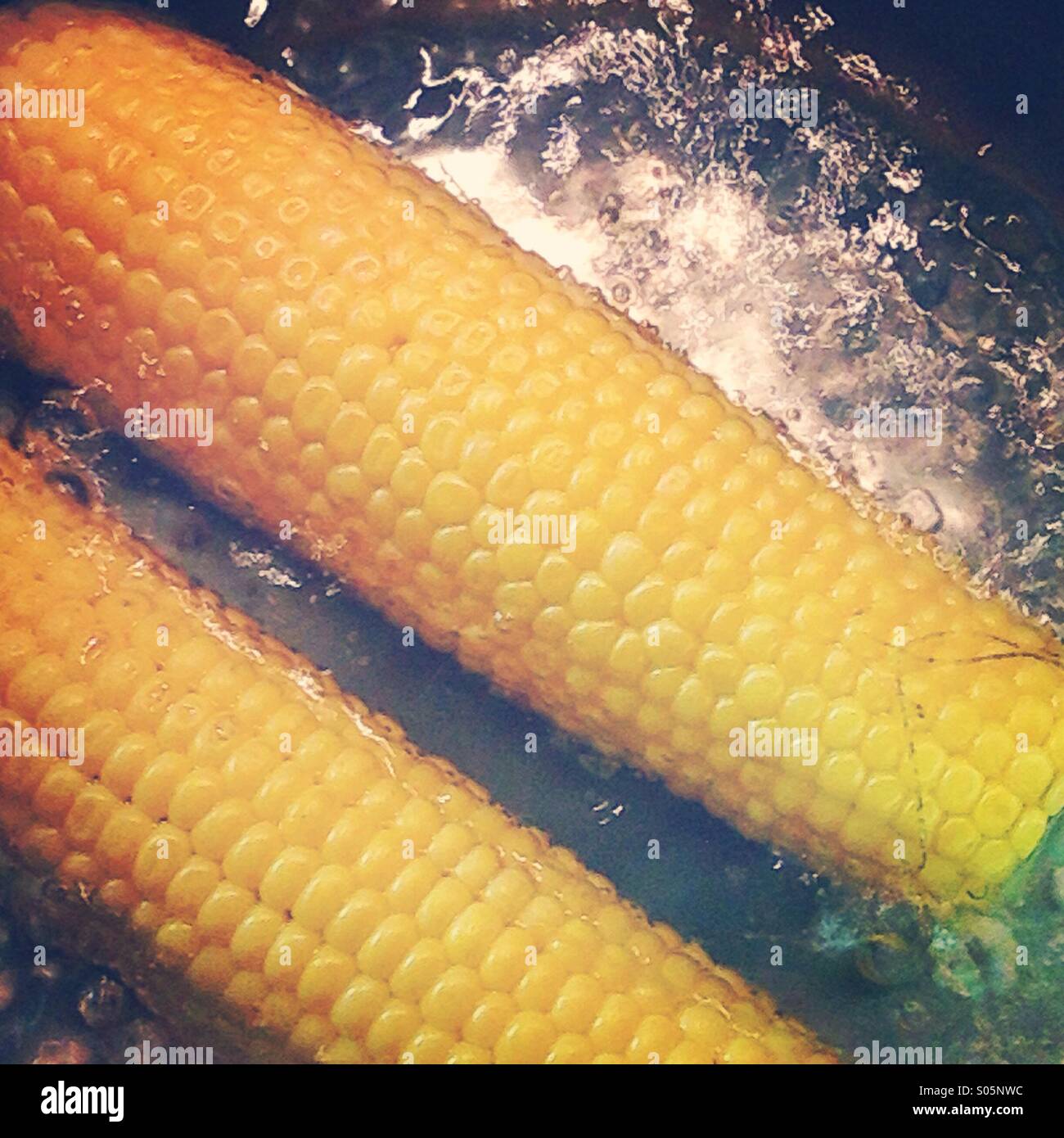 Corn boiled in water Stock Photo Alamy