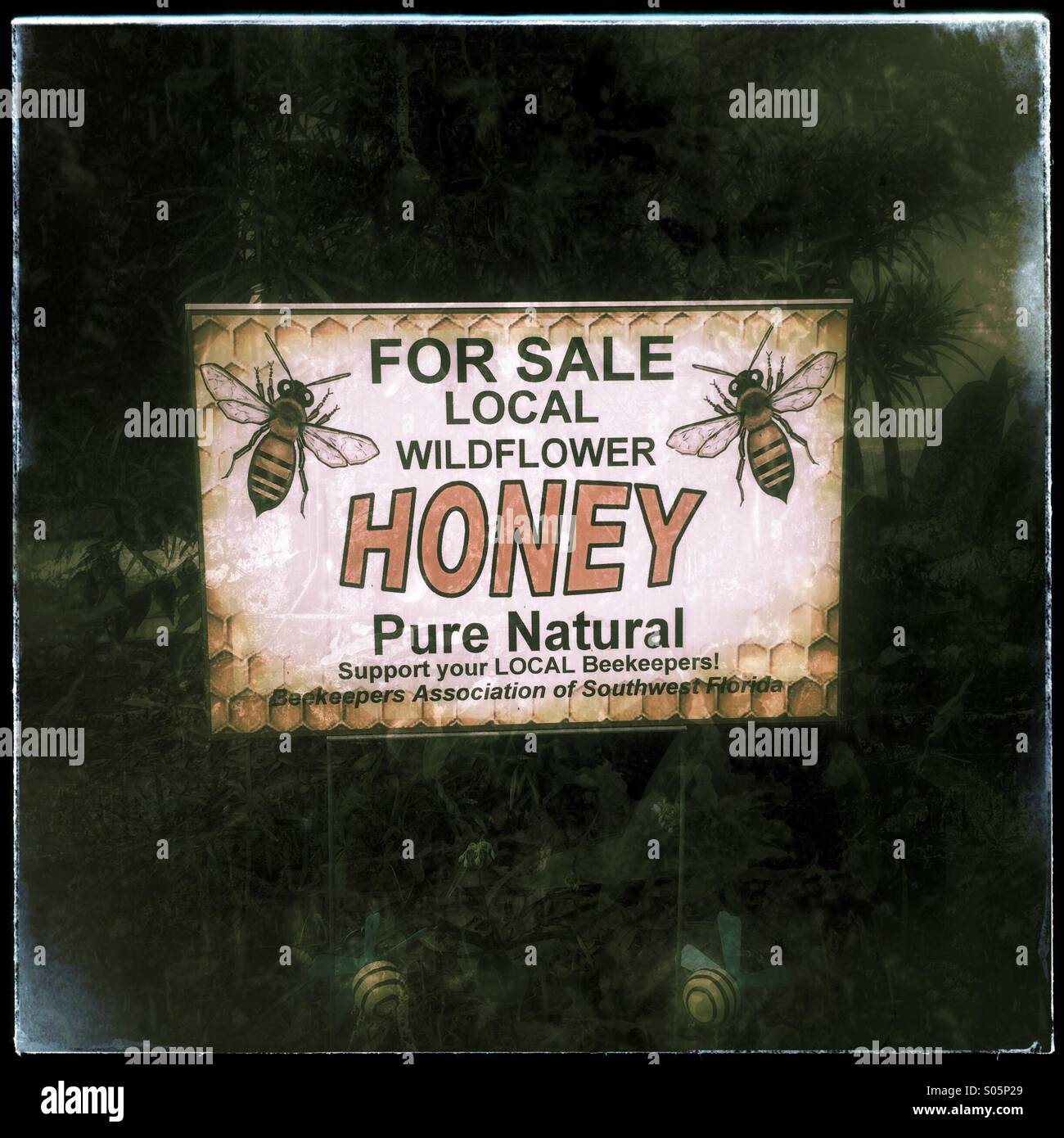 Local honey for sale sign Stock Photo Alamy