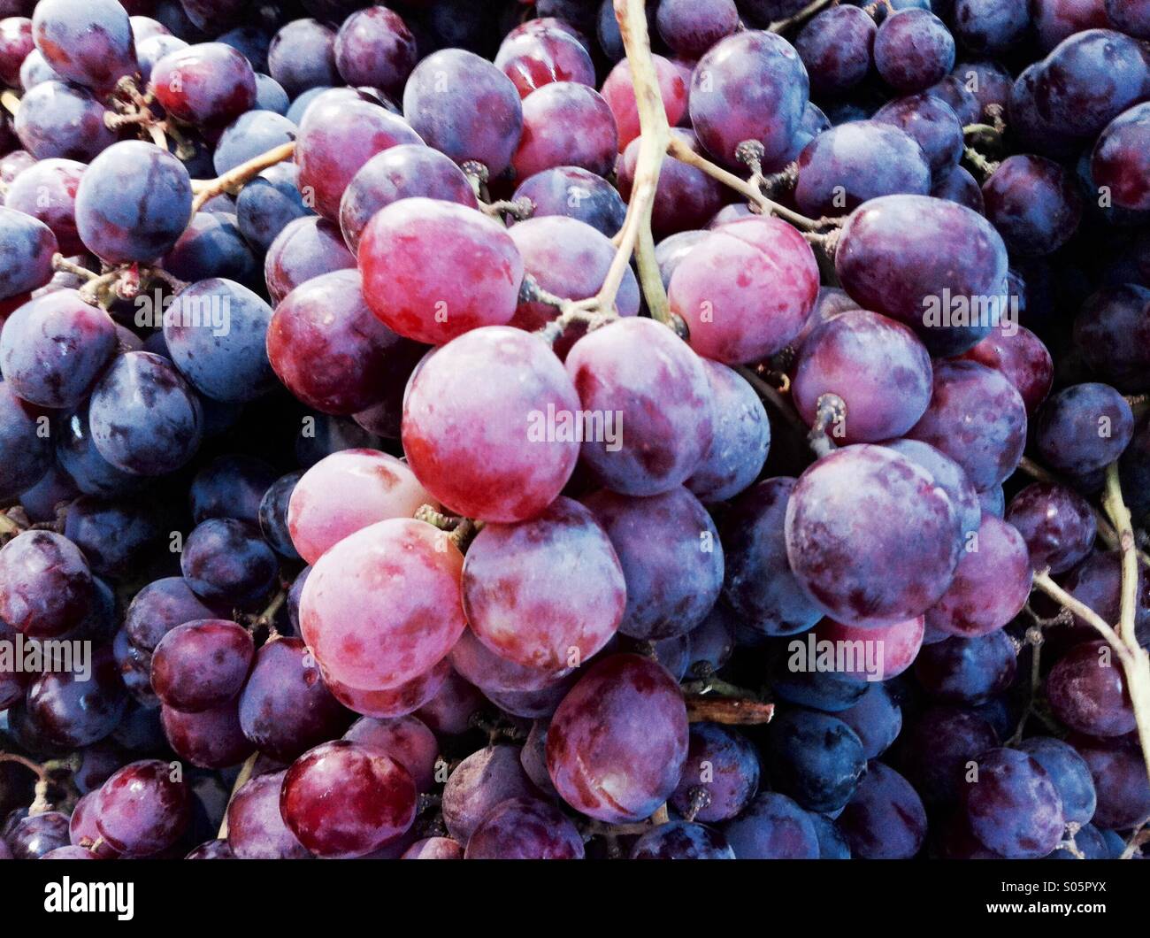 Fresh red grape wallpaper background Stock Photo Alamy