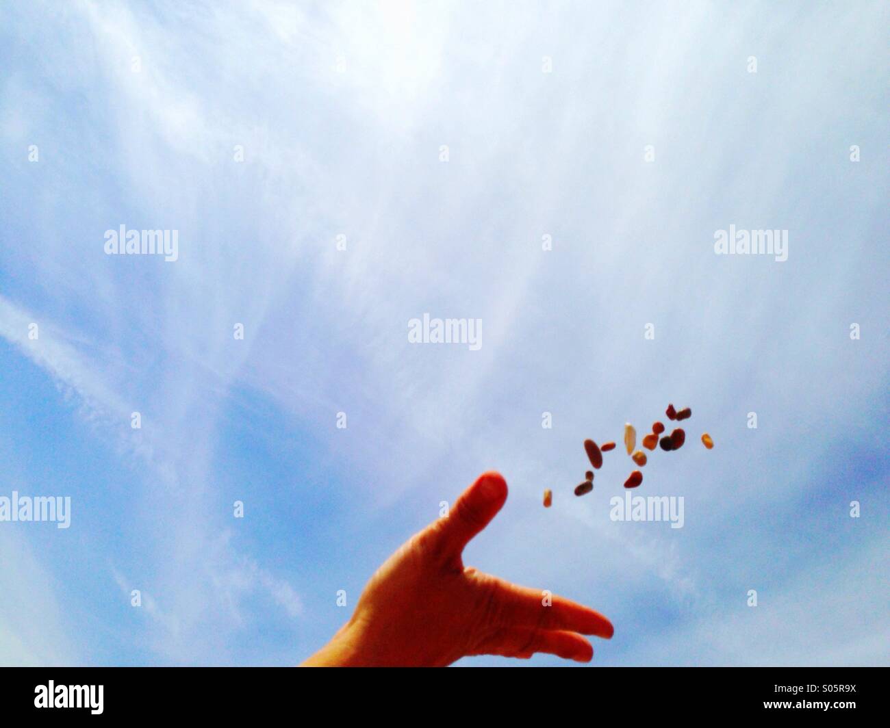 Throwing a handful of shingle on a hot, sunny beach to see what you can catch. Stock Photo