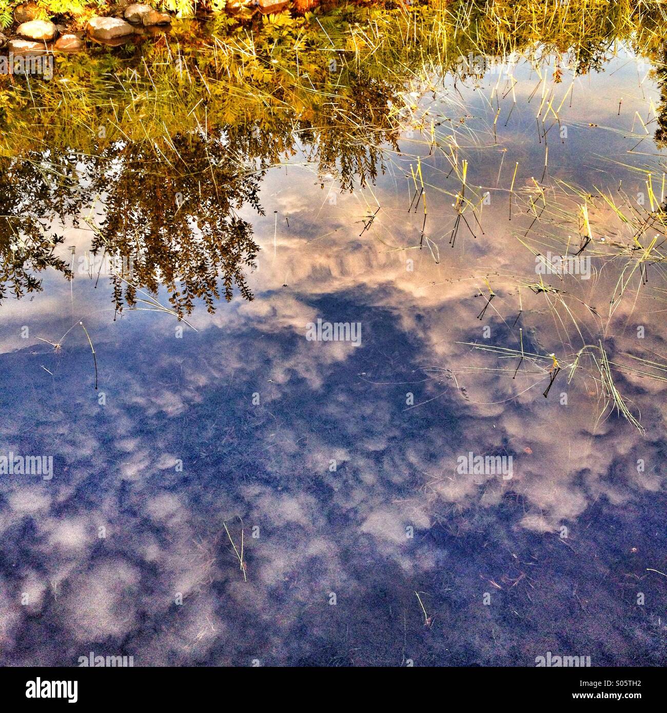 Reflection - Smartphone Captured Stock Image