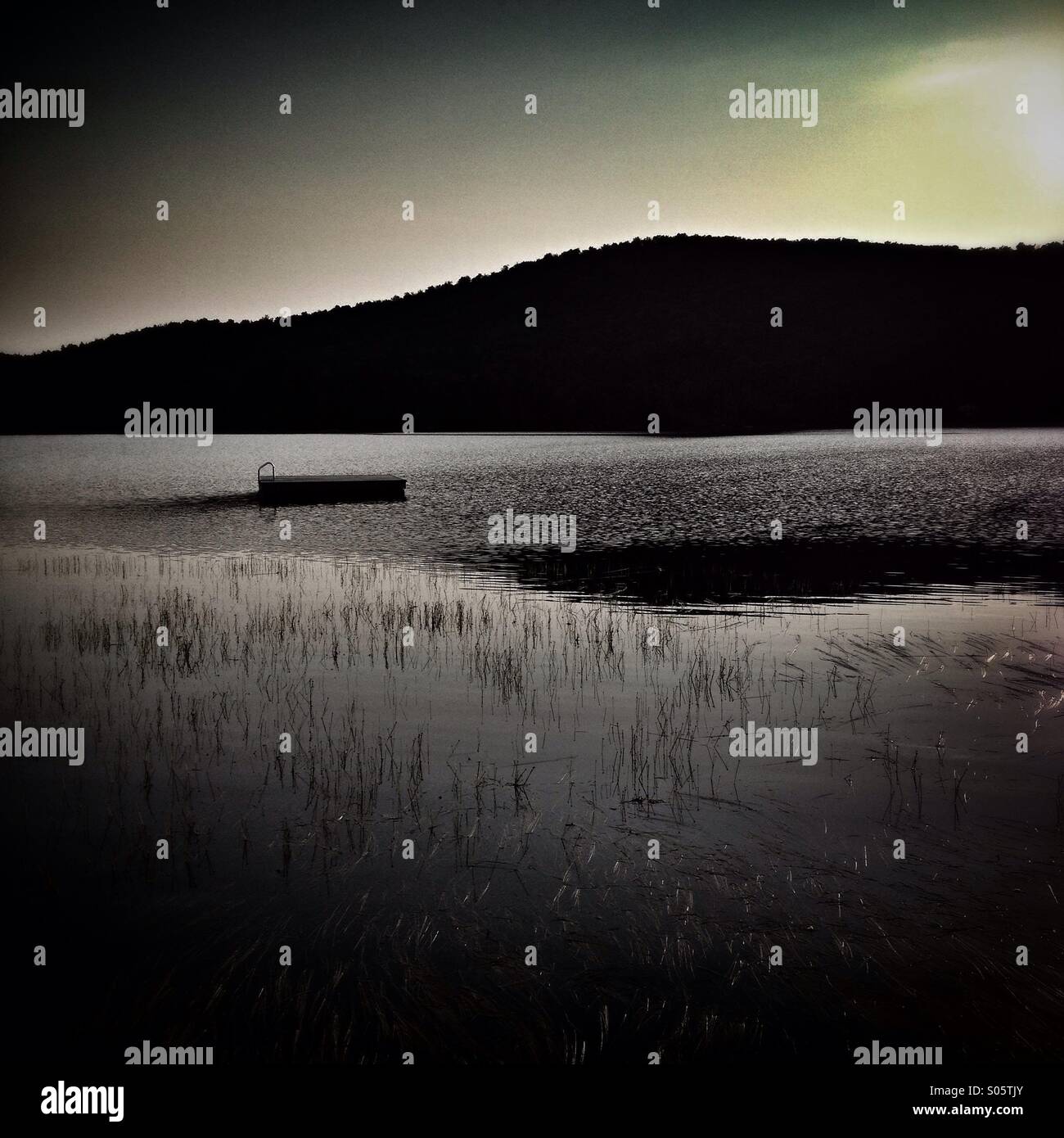 Lake - Smartphone Captured Stock Image