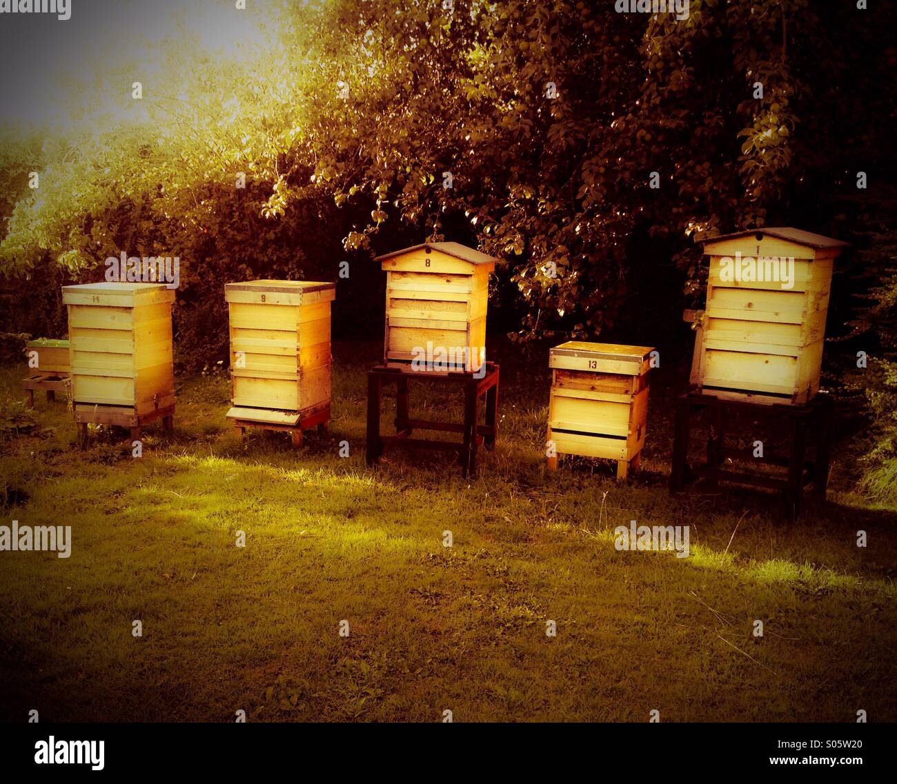 Beehives hi-res stock photography and images - Alamy