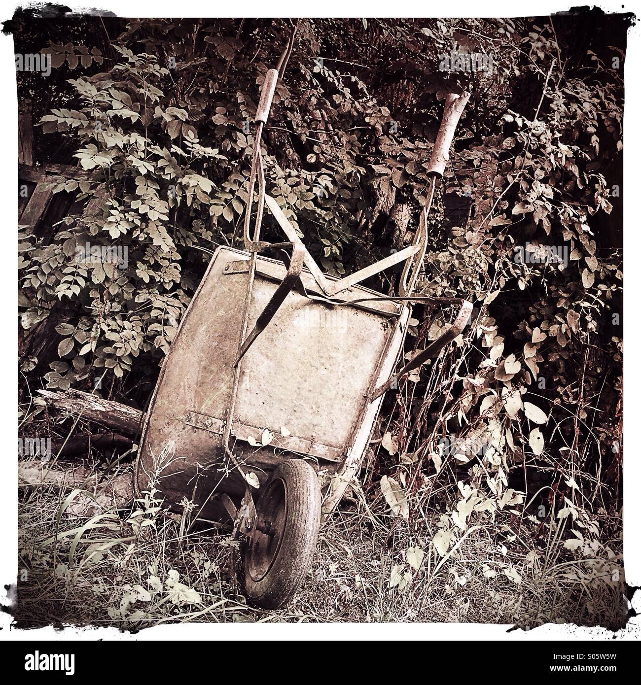 Old wheelbarrow in a garden Stock Photo Alamy