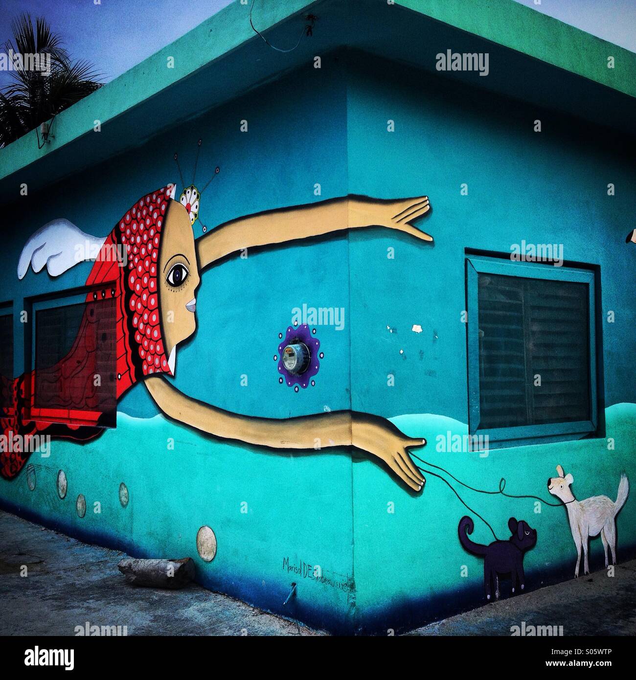 flying with two dogs