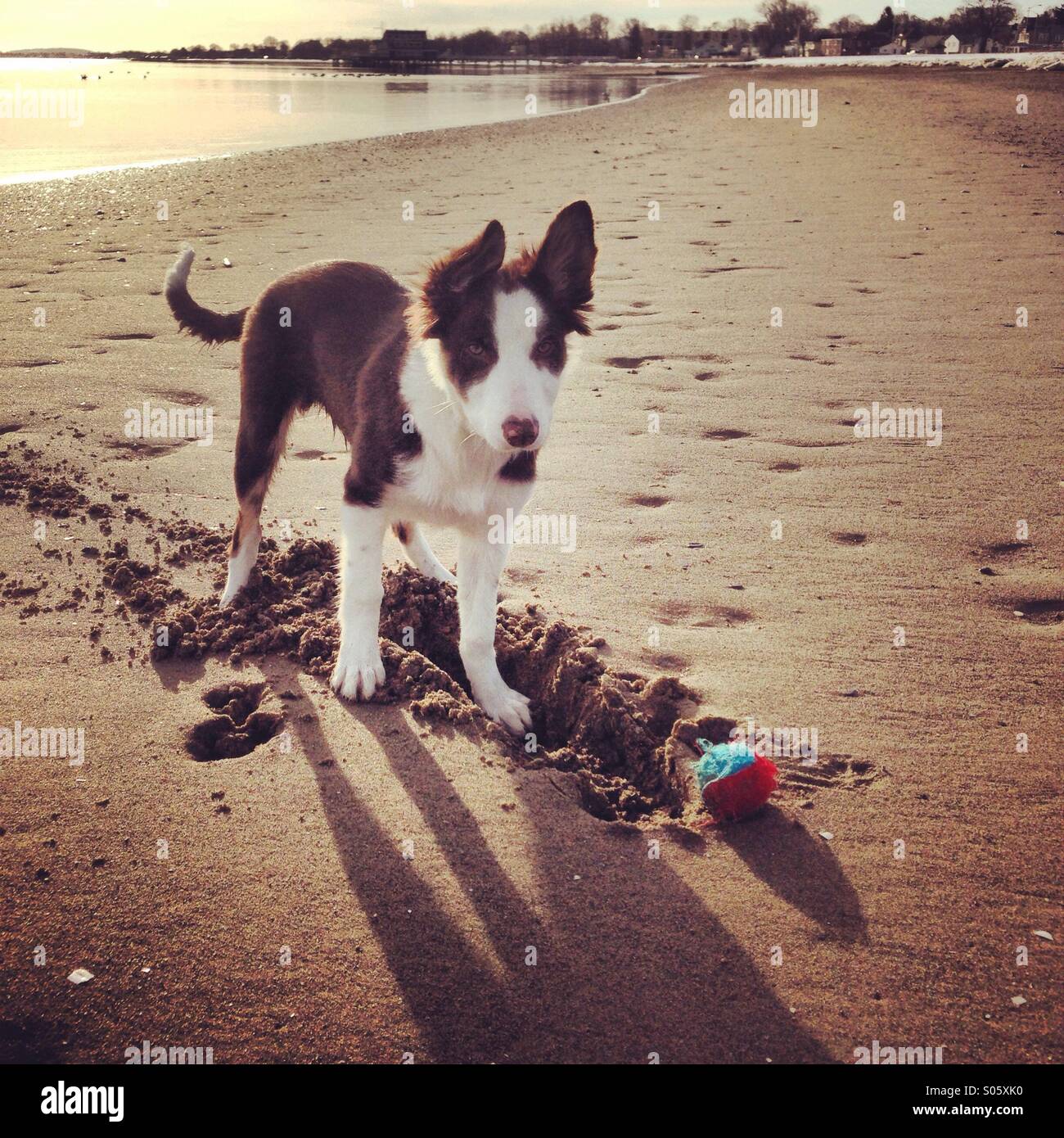 Quincy ma hires stock photography and images Alamy