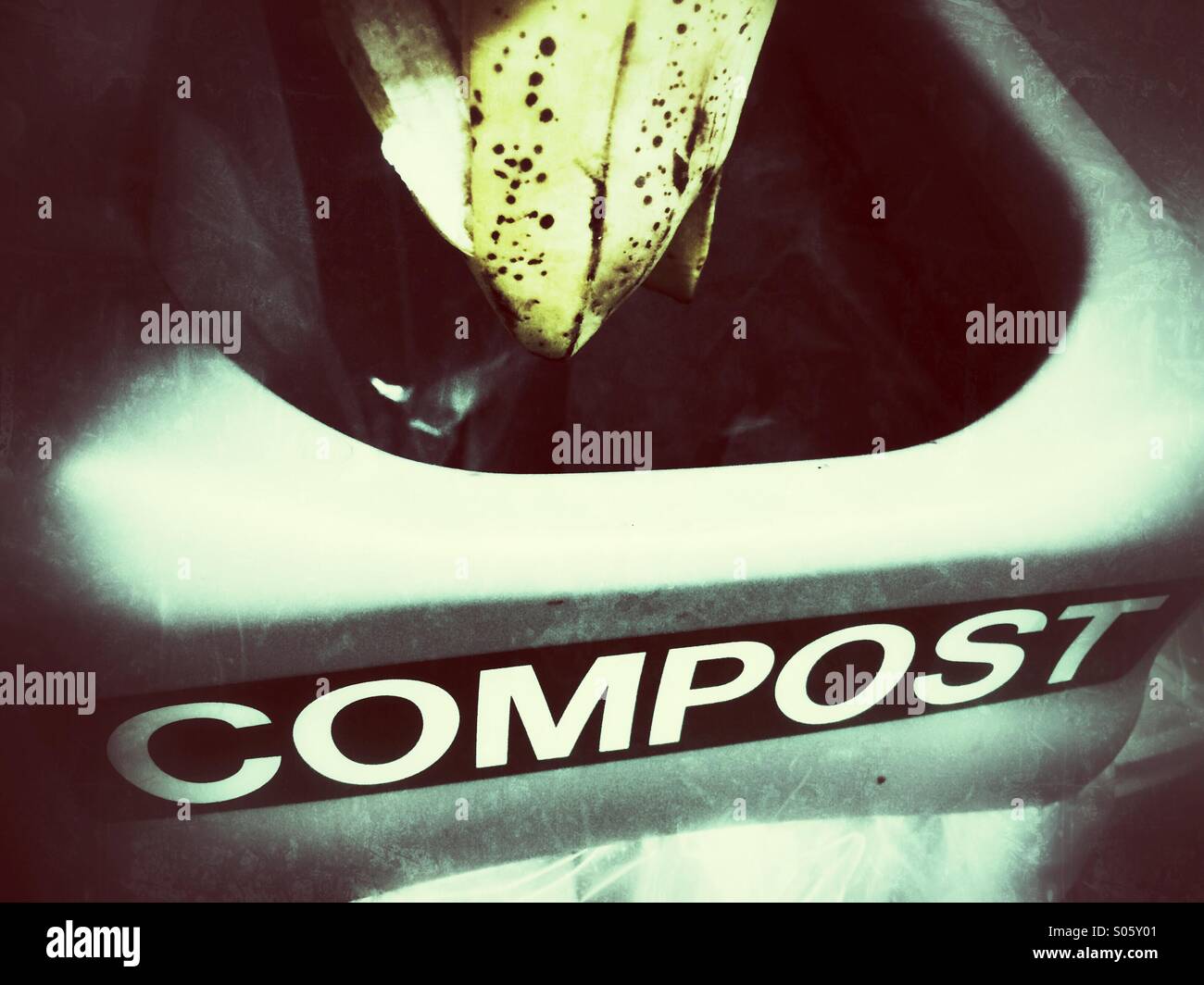 Composting a banana peel - Smartphone Captured Stock Image