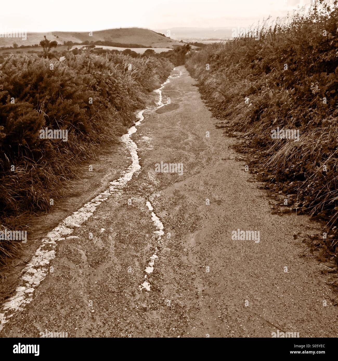 Downhill track - newly surfaced path suffering water erosion - already through to chalk. Stock Photo