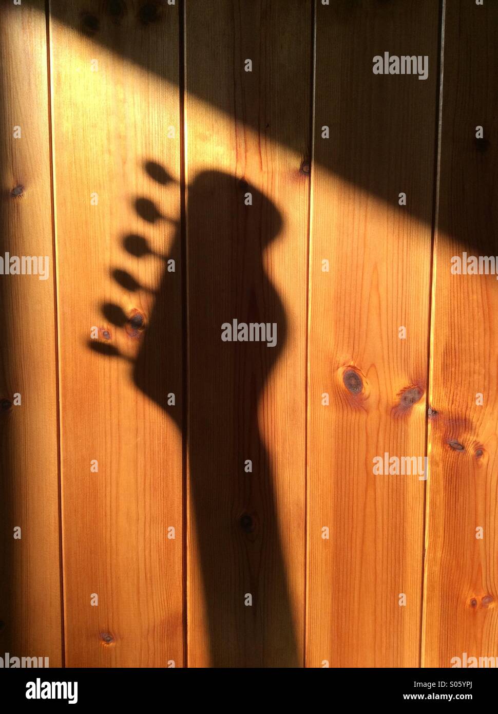 Shadow of electric guitar tuning head against wood panelling. Stock Photo