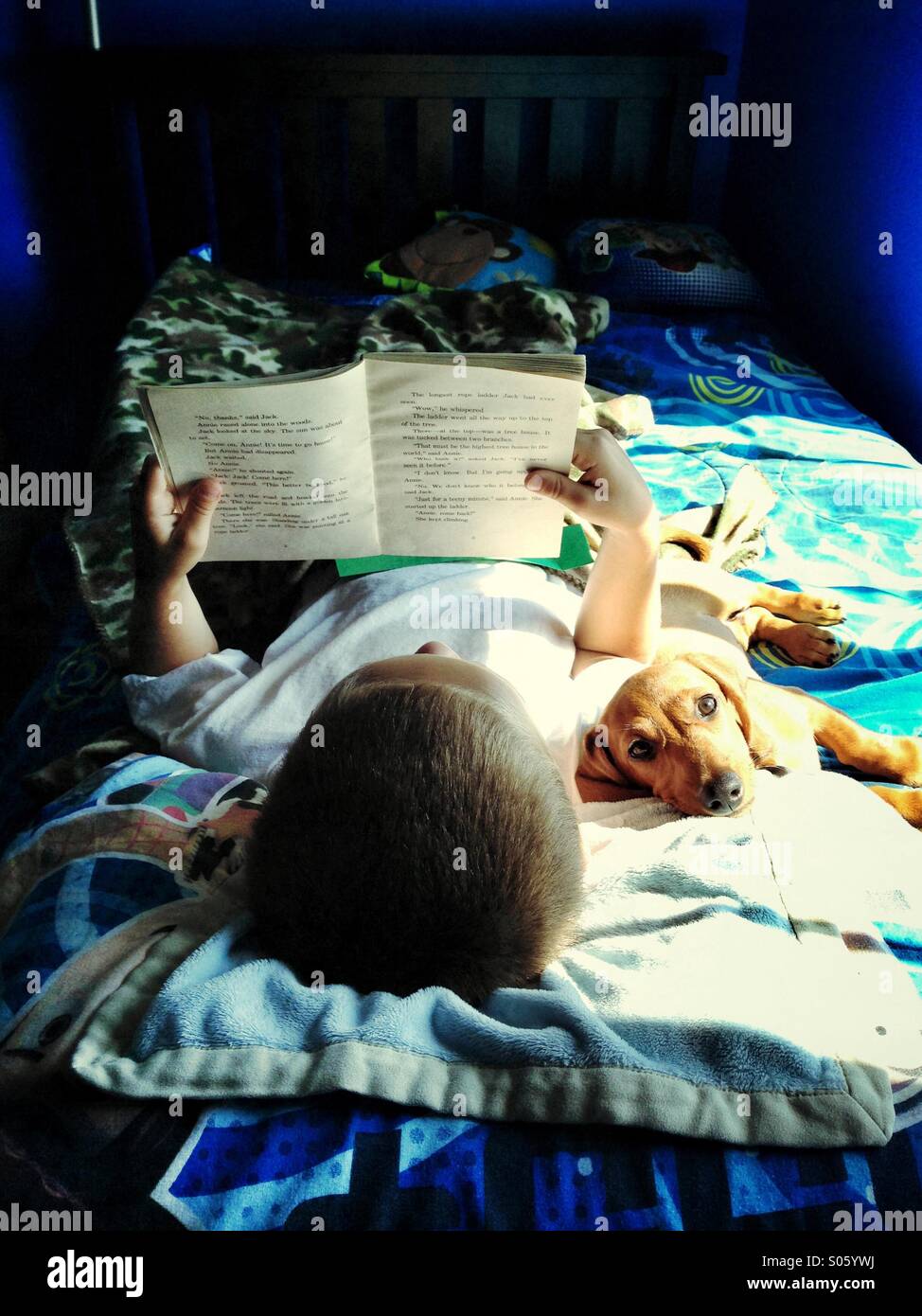 A young boy reads a book while his puppy lies in the sun next to him Stock Photo