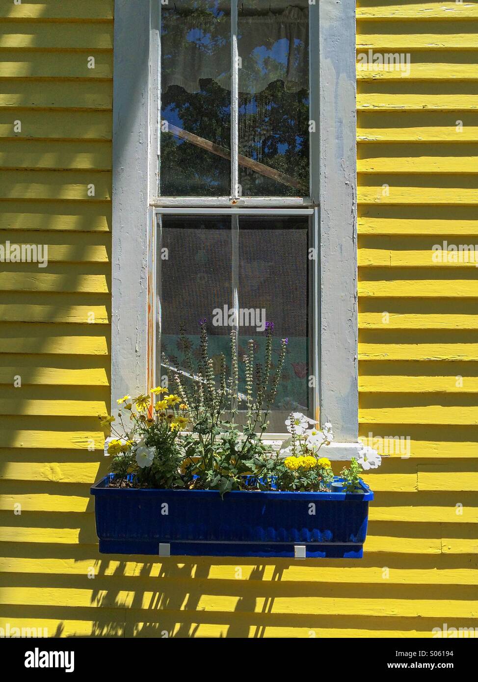Yellow slats with white window frame and blue window flower box containing flowers in Camp Meeting Grounds Oak Bluffs Massachusetts Stock Photo
