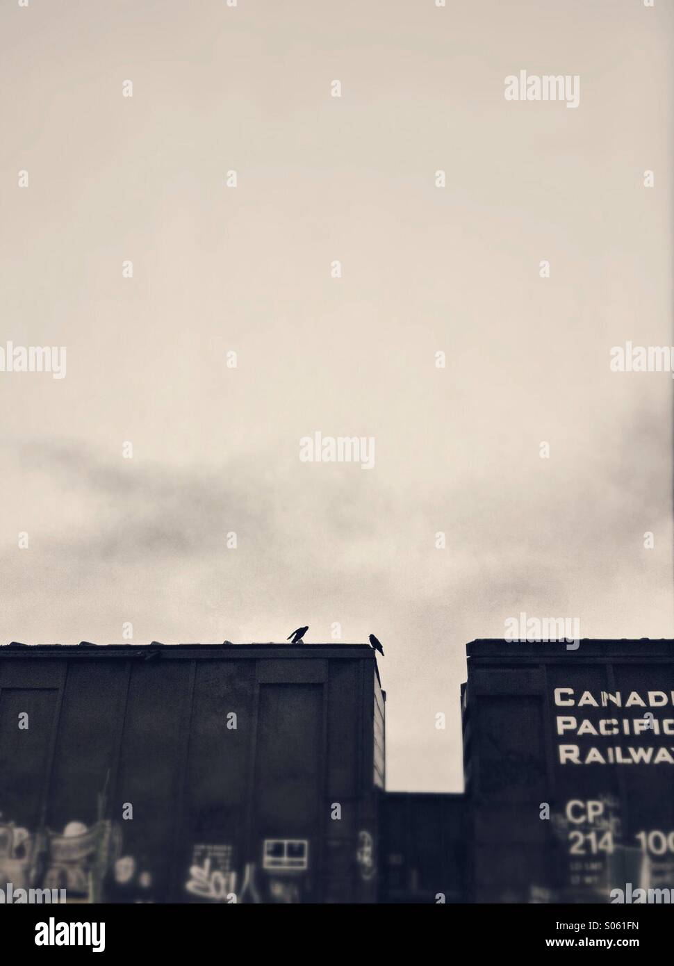 Two crows sitting on top of railway cargo cars. Stock Photo