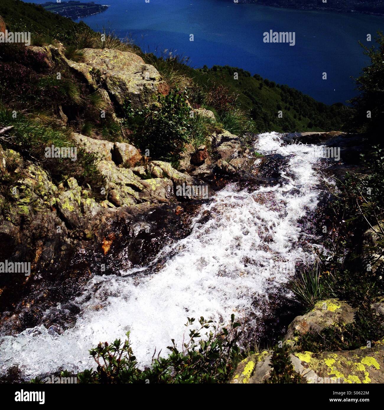 Down to the lake - Smartphone Captured Stock Image